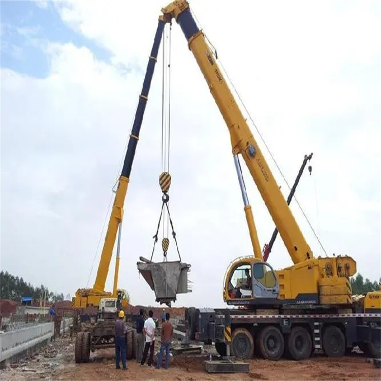 澄海小型吊机出租电话|厂房设备吊装方案|24小时服务覆盖