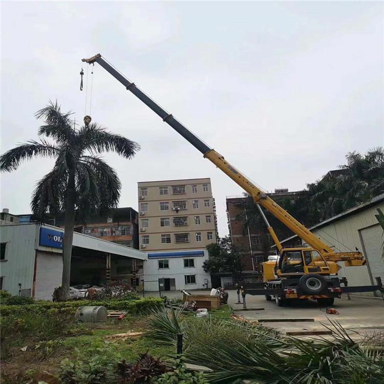 澄海树木移栽装卸